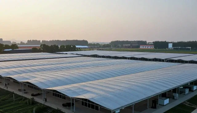 陕西网站建设如何有效进行成本控制？
