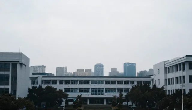 企业名录查询在实际应用中常遇到哪些问题