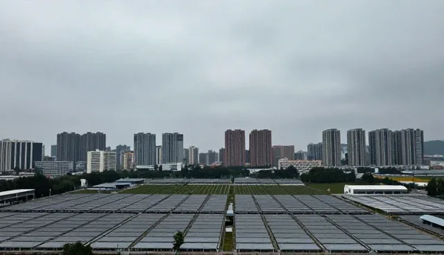 软件开发中维护建议的适用条件与选择依据