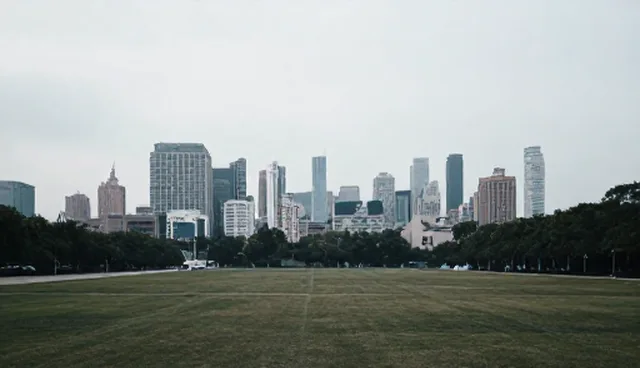 如何有效进行信息技术支持的维护建议？