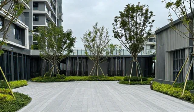 管网施工常见问题及处理方向