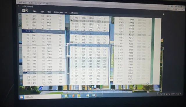 信息系统集成中的数据处理问题及优化方向