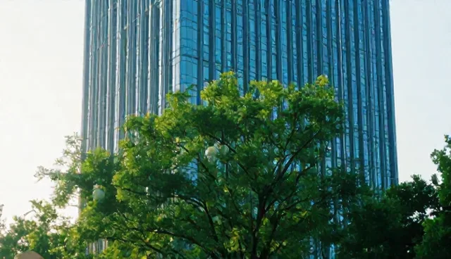 公司的网站如何推动信息化建设