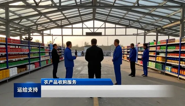 农产品价格波动：选型关注点对结果的影响原因