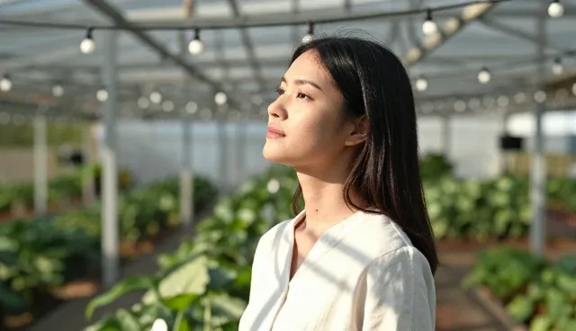 演讲稿撰写提示词的检查要点与实践