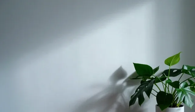 灵活产品性能检查要点及适用条件分析