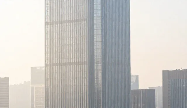 支持系统适用条件：应用场景分析与建议