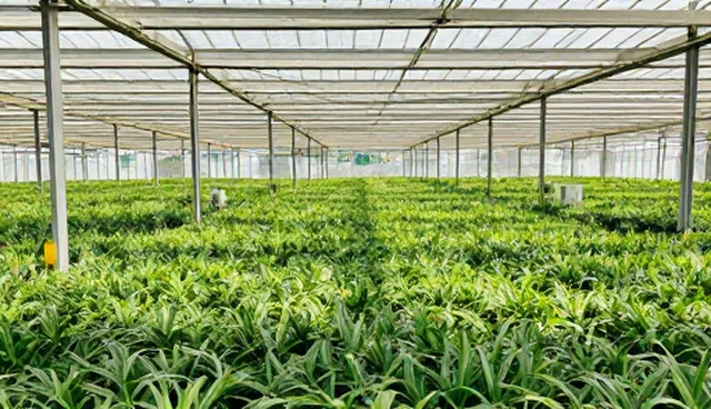 影视策划使用维护的5大检查要点分析