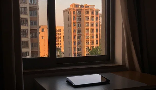 团队协作效率提升的适用条件与选择依据