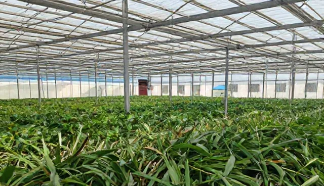 招聘外包：劳动法规合规性应用场景分析