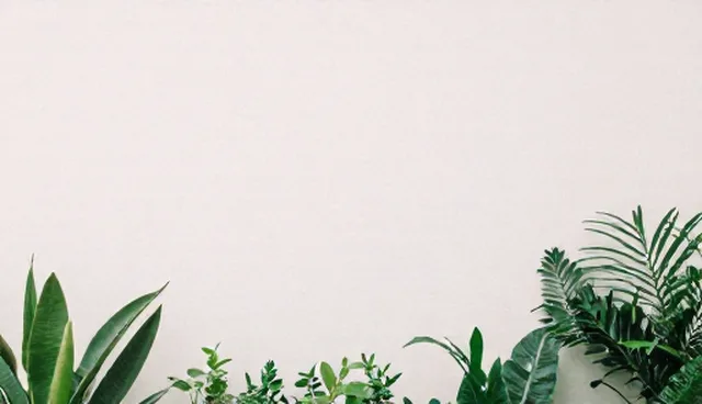 商机撮合服务如何帮助本地企业获取行业资讯？
