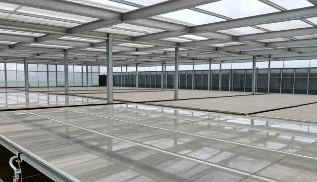 服务选择中的常见误区与精准触达应用解析