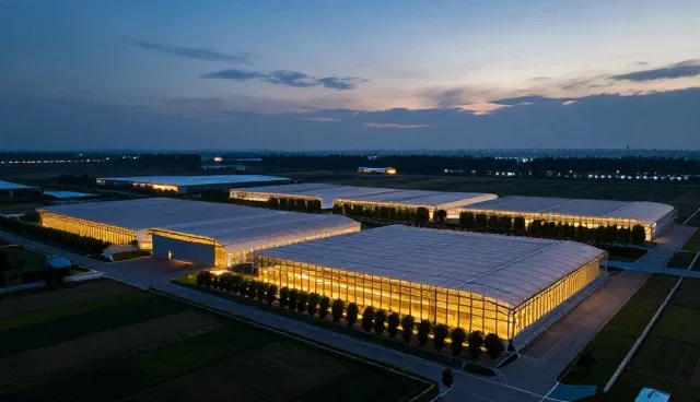 赣州网站建设选型与维护的实用建议