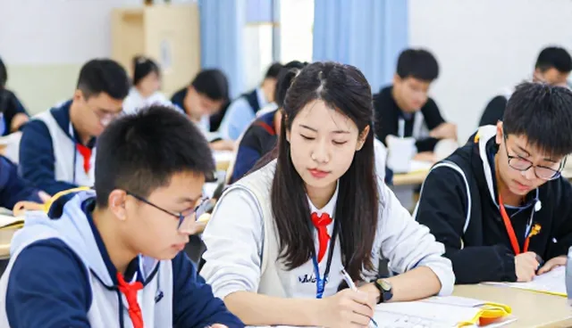 团队配置差异如何影响化方案执行效果