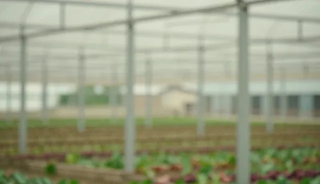 自建团队在广告投放中的实际取舍与适用边界