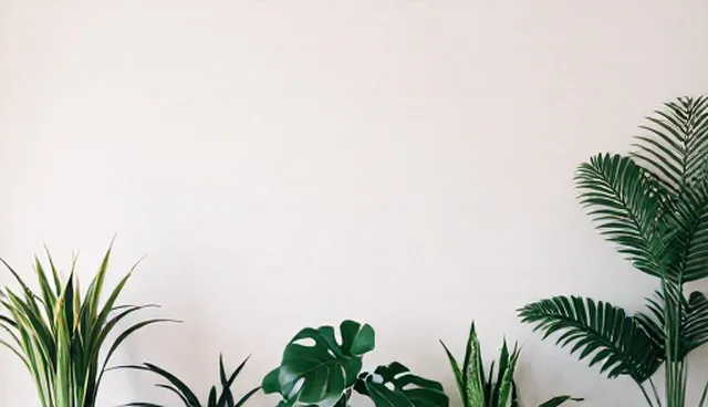 运维服务如何选择适用条件与维护建议