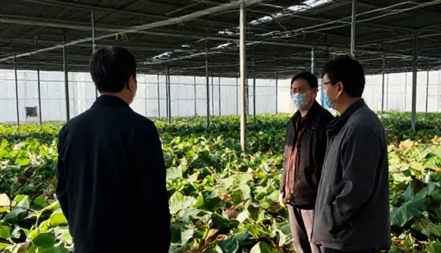 美容清洗服务模式中的实际操作环节分析