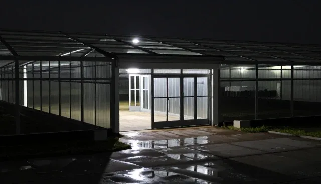 网络优化方案选型与维护中的常见误区