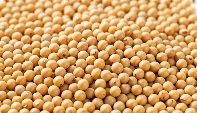 大豆油灌装产品在餐饮场景中的使用问题分析