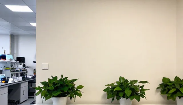 局部改造中如何有效管理项目？