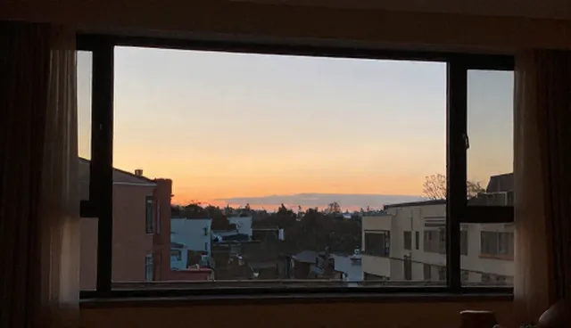地区差异对技术咨询选型的影响及应对策略