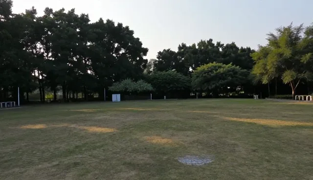 团队管理中场景化运营的常见误区澄清