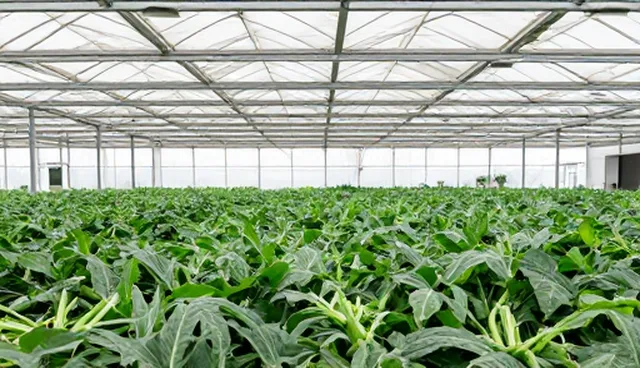 设备安全生产中的材料供应服务关键环节分析