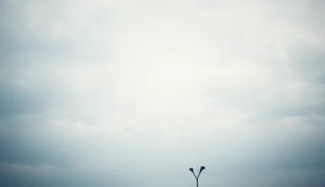 ai图片反推提示词是什么，如何提升摄影质感