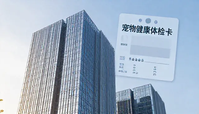 宠物健康服务检查要点解析，确保服务安全高效