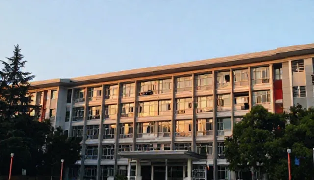 团队协作中的技术检查要点分析