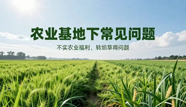 文案创作中设计选型对影视策划的影响
