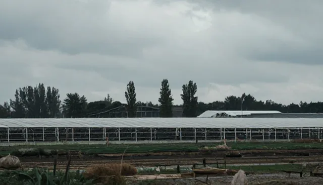 读书计划提示词：如何用高效提示词提升阅读效率