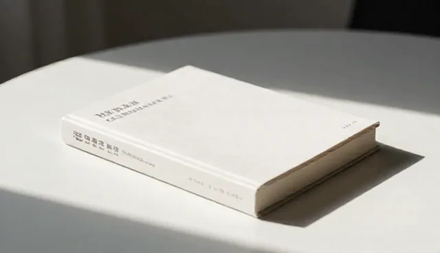 软件研发中地区使用与维护的适用情况与限制