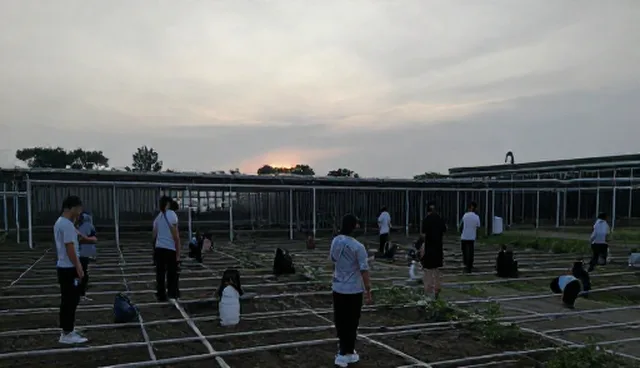 康复建议检查要点：选型关注点解析