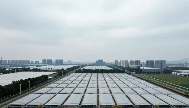 宣传片制作：性能与适用条件的全面分析