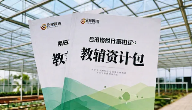 教辅资料选型与使用建议：优化学习效率的关键