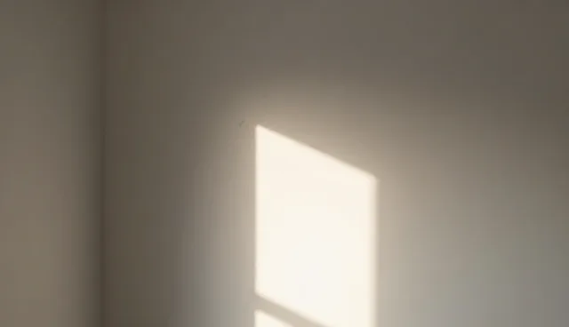 软件研发中的使用条件与维护建议