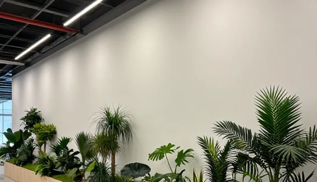 包车服务如何提升客户体验与业务发展