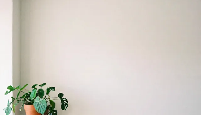 网站性能优化中的内容加载与资源压缩环节分析
