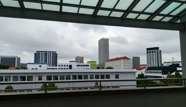 财税咨询中适用条件如何影响企业合规支持效果
