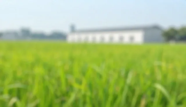 公众号开发中用户行为分析的选型与使用建议