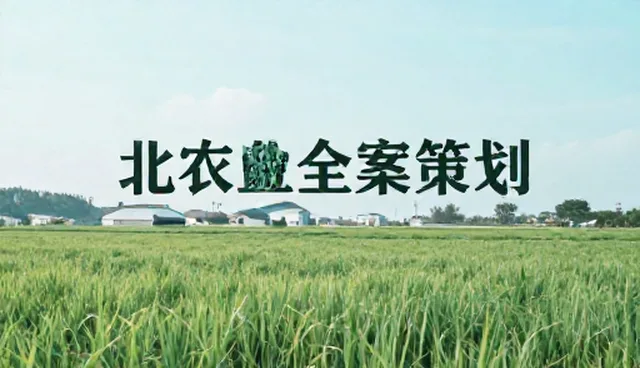 平面设计中用户参与误区分析与正确引导