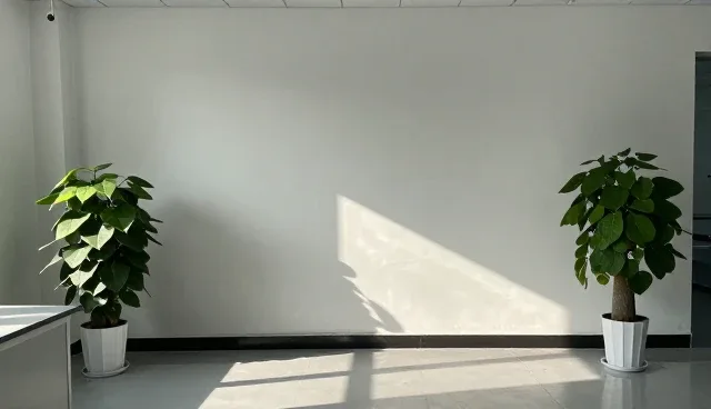 环境湿度对开荒保洁效果的影响与适用限制
