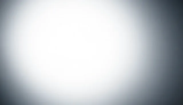 项目管理提示词：适用情况与限制解析