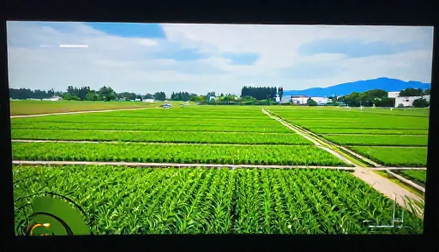 技术转让中常见误区及正确理解方式