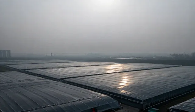 深圳网页设计的适用条件与选择依据