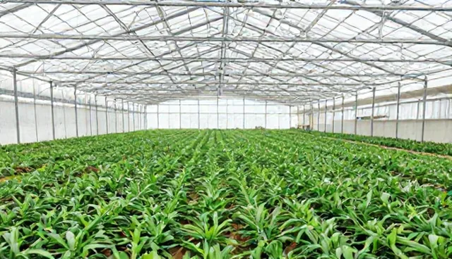 施工限制下如何优化资源配置与技术咨询
