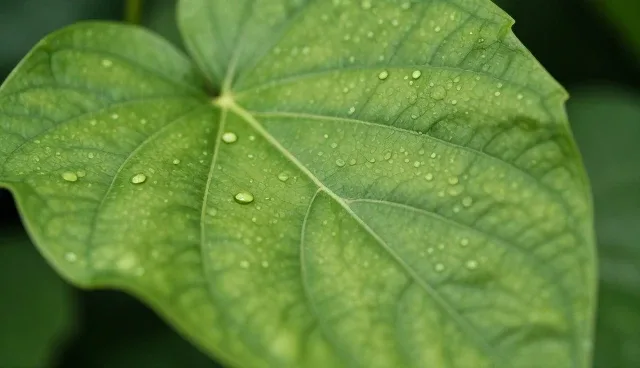 网络延迟对故障排查效率的具体影响