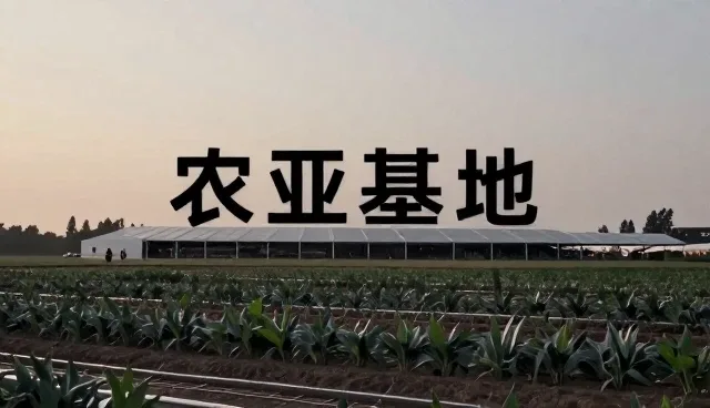 品牌广告设计中创意元素对投放效果的影响
