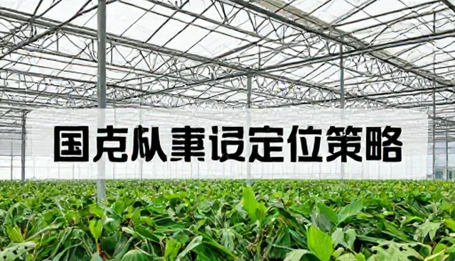管理咨询业务的性能与适用条件分析
